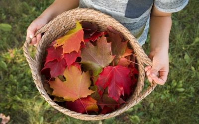 7 Fun Fall Activities that Support Young Children’s Development