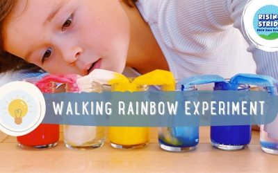 4 Wonderful Colorful STEAM Activities to Try with Your Preschooler