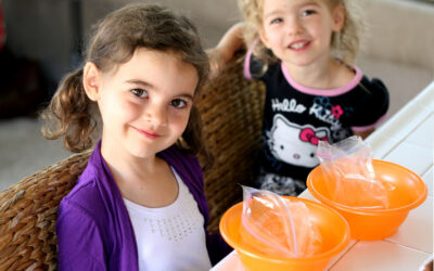 Fun With STEM Activities: Ice Cream in a Bag