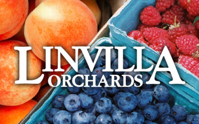Visit LINVILLA ORCHARDS This Weekend for Some Summer Fun