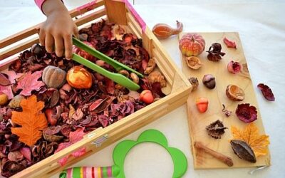 5 Fall Activities For Preschoolers