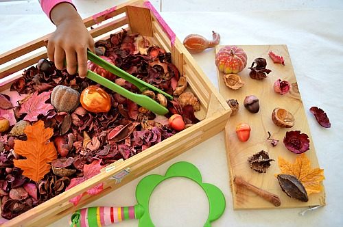 5 Fall Activities For Preschoolers