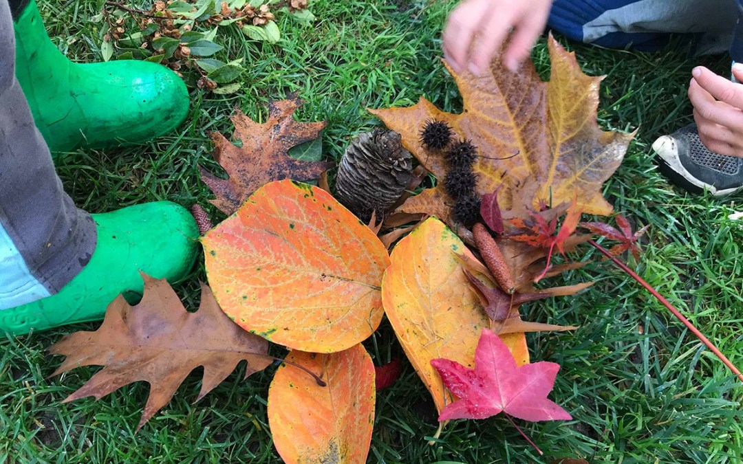 Teach Your Toddler About Fall