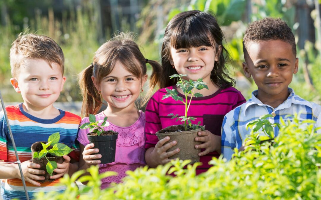 Meditation, Mindfulness and Learning in Nature for Toddlers