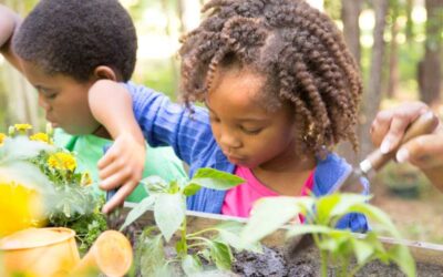 Creative Spring Outdoor Activities for Preschoolers