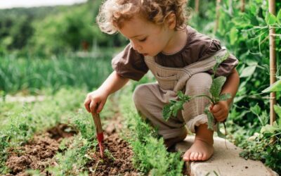 Gardening Tips With Your Children