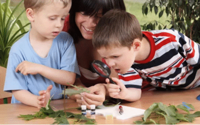 The Benefits Of Using Natural Resources In Children’s Play