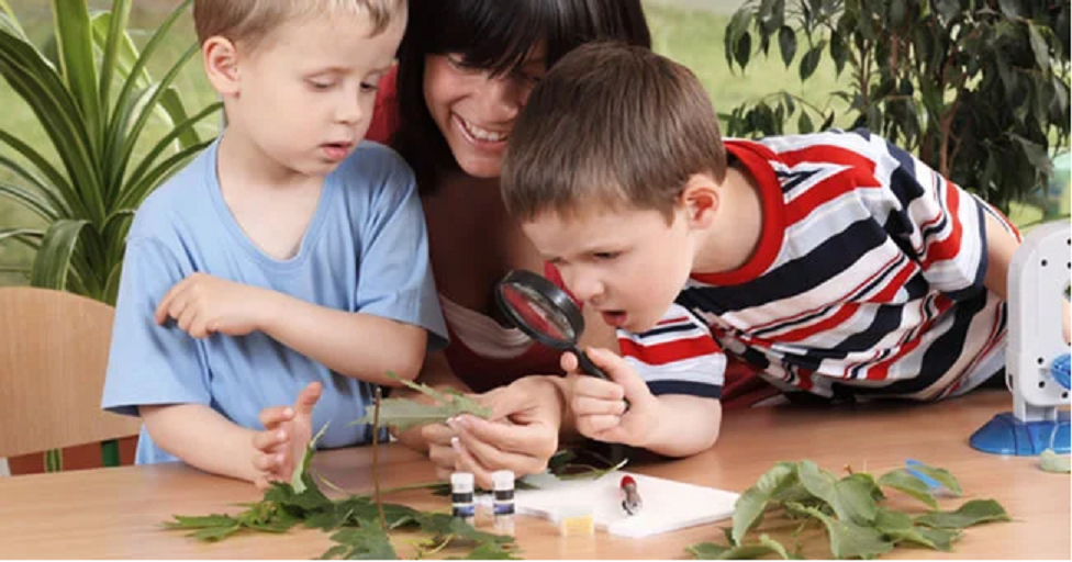 The Benefits Of Using Natural Resources In Children’s Play